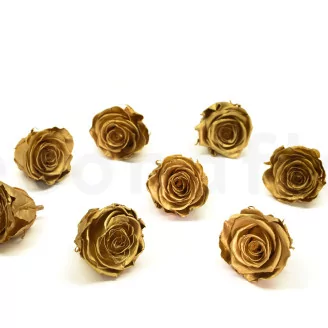 Preserved Rose L Gold (set of 8)