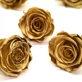 Preserved Rose L Gold (set of 8)