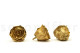 Preserved rose Kiara L - Box of 8 - Gold Roses 3