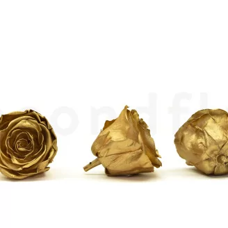 Preserved Rose L Gold (set of 8)