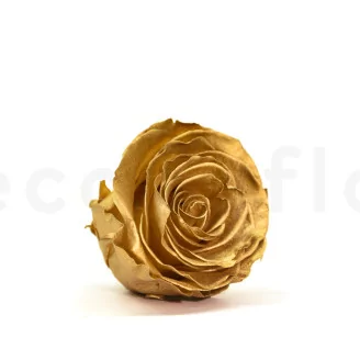 Preserved Rose L Gold (set of 8)