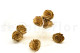 Preserved rose Kiara L - Box of 8 - Gold Roses 6