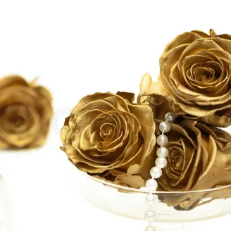 Preserved Rose L Gold (set of 8)