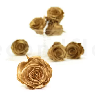 Preserved Rose L Gold (set of 8)
