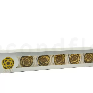 Preserved Rose XL Gold (set of 6)