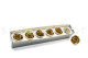 Preserved rose Kiara XL - Box of 6 - Gold Roses 6