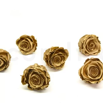 Preserved Rose XL Gold (set of 6)