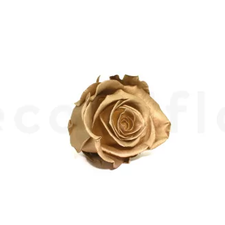Preserved Rose XL Gold (set of 6)