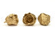 Preserved rose Kiara XL - Box of 6 - Gold Roses 3