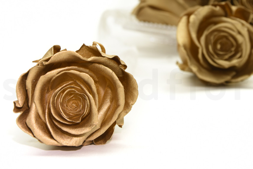 Preserved rose Kiara XL - Box of 6 - Gold Roses