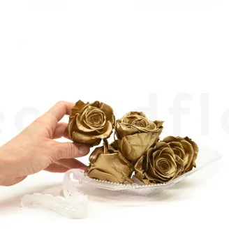 Preserved Rose XL Gold (set of 6)