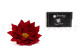 Red Poinsettia Flower - Box of 1 5