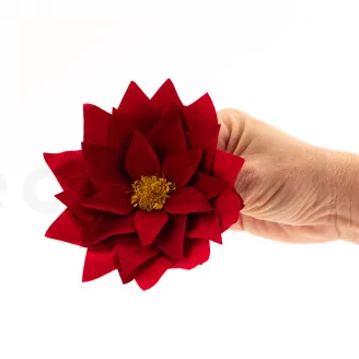 Poinsettia Flower Red