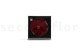 Poinsettia Flower Red 3