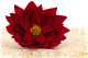 Red Poinsettia Flower - Box of 1 7