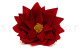Red Poinsettia Flower - Box of 1 2