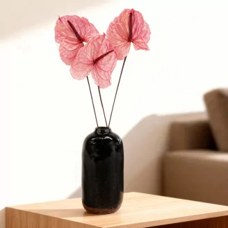 Preserved Anthurium Pink (set of 3)