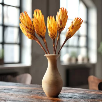 Dried Protea Repens Yellow (set of 5)