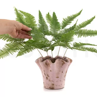 Preserved Mountain Fern Green