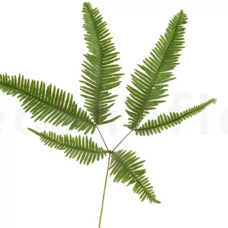 Preserved Mountain Fern Green