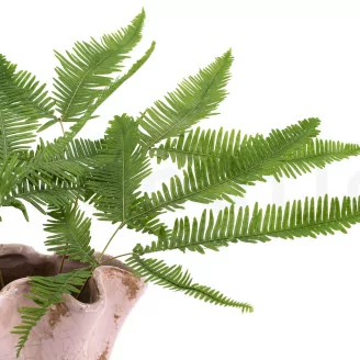 Preserved Mountain Fern Green