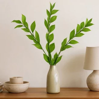 Preserved Ruscus Garden Light Green (set of 3)