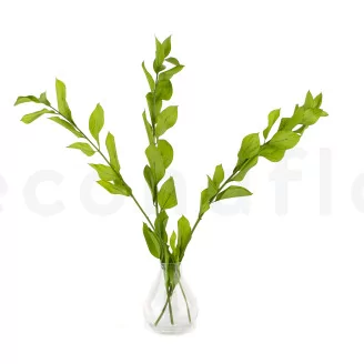 Preserved Ruscus Garden Light Green (set of 3)