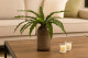 Artificial Bird Nest Fern Bush - Green 1
