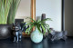 Artificial Bird Nest Fern Bush - Green 5