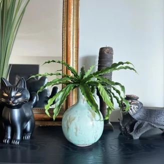 Artificial Bird Nest Fern Bush