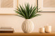 Artificial Yucca (set of 3) 1