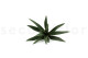 Artificial Yucca - 3 Stems - Green 4