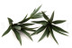 Artificial Yucca (set of 3) 5
