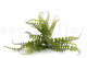 Artificial Fern Spray - 3 Stems - Green 3