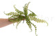 Artificial Fern Spray (set of 3) 5