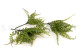 Artificial Fern Spray - 3 Stems - Green 6
