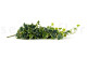 Artificial Hanging Variegated Ivy - 2 Stems - Green 6