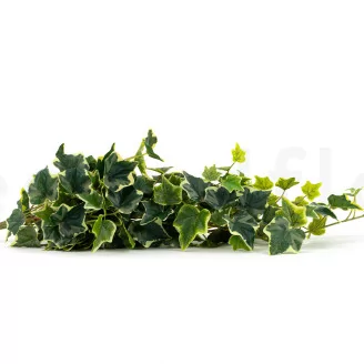 Artificial Trailing Variegated Ivy (set of 2)