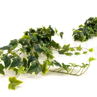 Artificial Trailing Variegated Ivy (set of 2)
