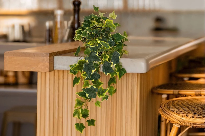 Artificial Hanging Variegated Ivy - 2 Stems - Green