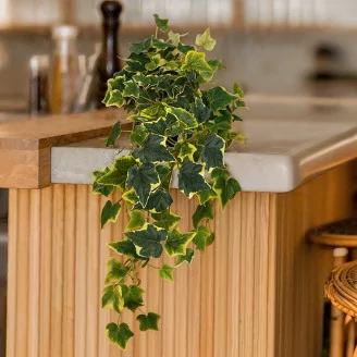 Artificial Trailing Variegated Ivy (set of 2)