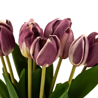 Artificial Real Touch Two-Toned Tulip Mauve & Cream (set of 10)