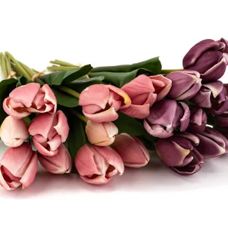 Artificial Real Touch Two-Toned Tulip Mauve & Cream (set of 10)