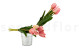Artificial Real Touch Two-Toned Tulip Light Pink (set of 10) 6