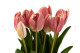 Artificial Real Touch Two-Toned Tulip - 10 Stems - Light Pink 2