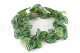 Artificial Watermelon Peperomia Garland - Green 3