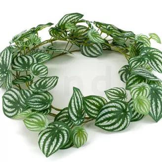 Artificial Watermelon Peperomia Vine Garland