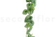 Artificial Watermelon Peperomia Garland - Green 4
