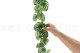 Artificial Watermelon Peperomia Garland - Green 5