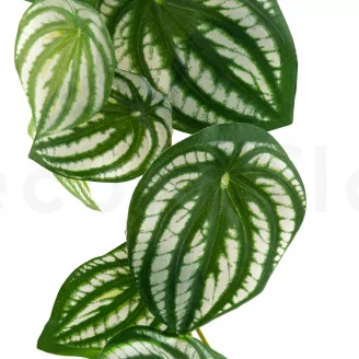 Artificial Watermelon Peperomia Vine Garland